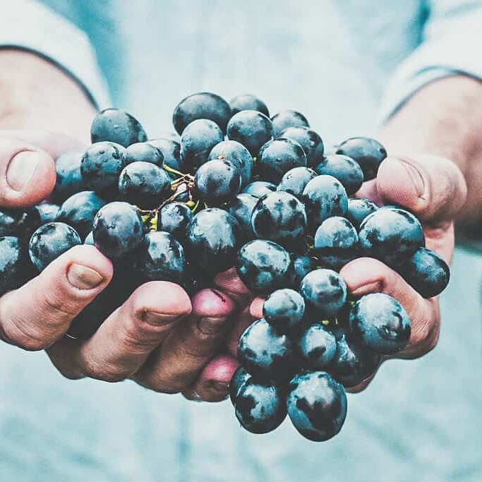 Vignerons engagés 1020 - Nos engagements