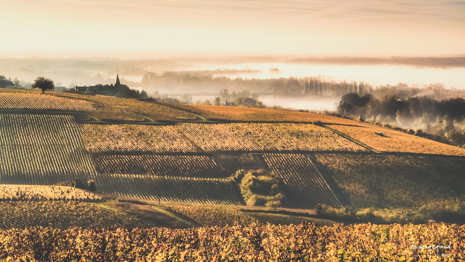 Vignoble de Bourgogne - 1020 Dégustations