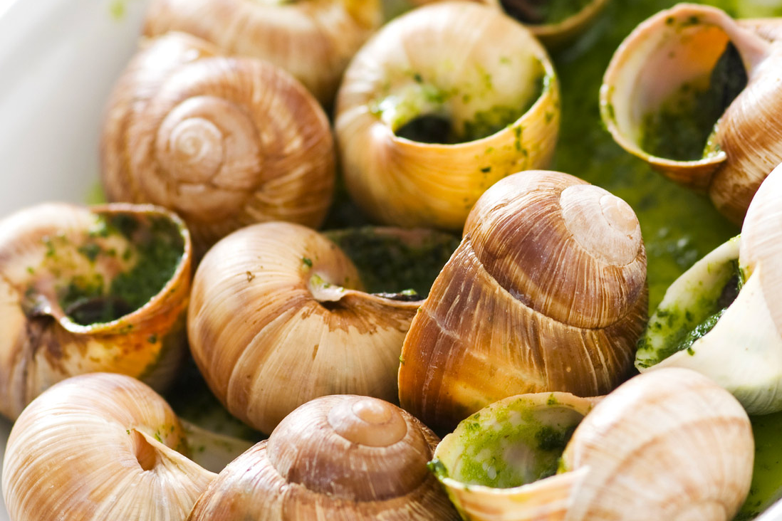 Image Escargots au beurre persillé cuisinés - Les Recettes du Pinardier - 1020 Dégustations