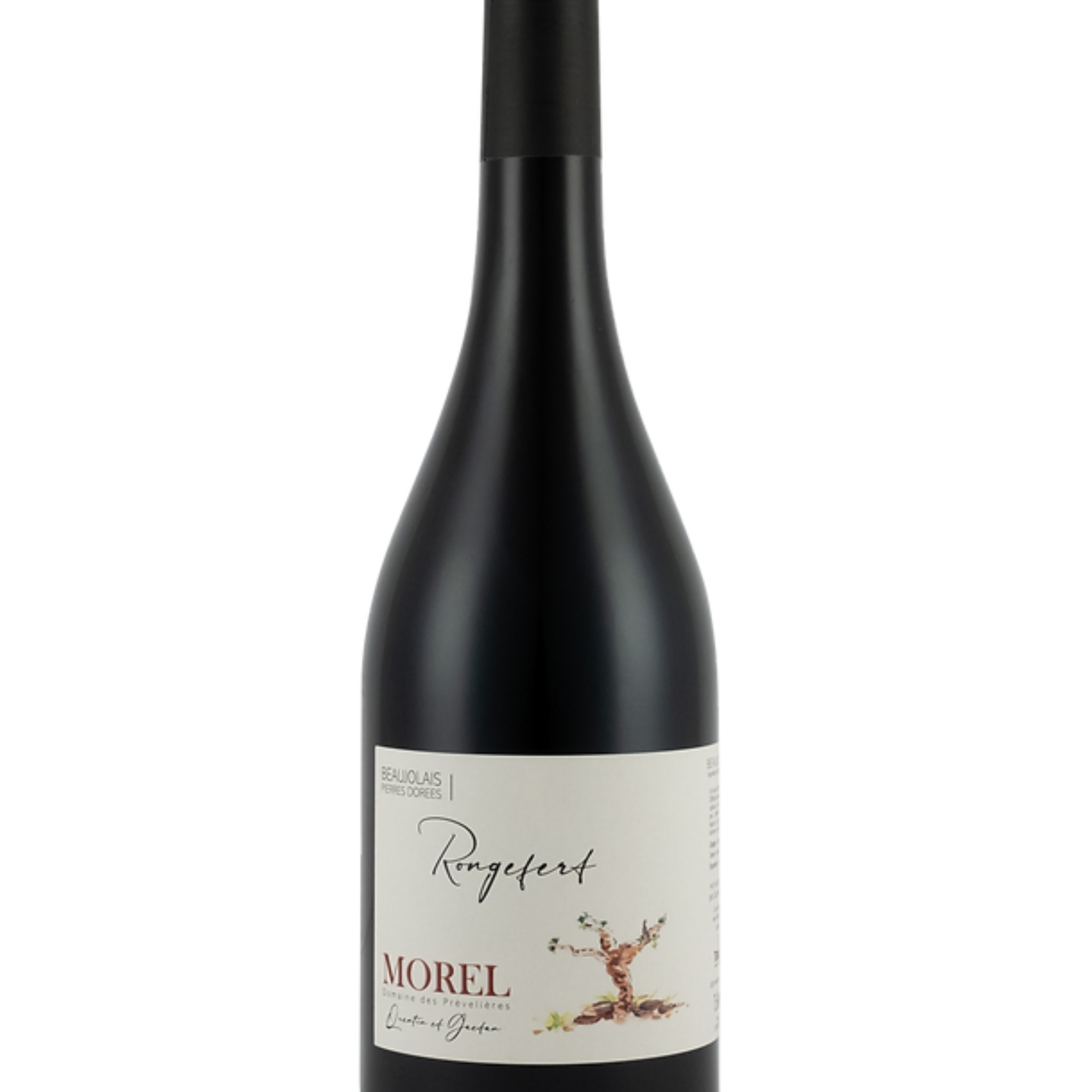Vin rouge Beaujolais - Grain d'Argile - 1020 Dégustations